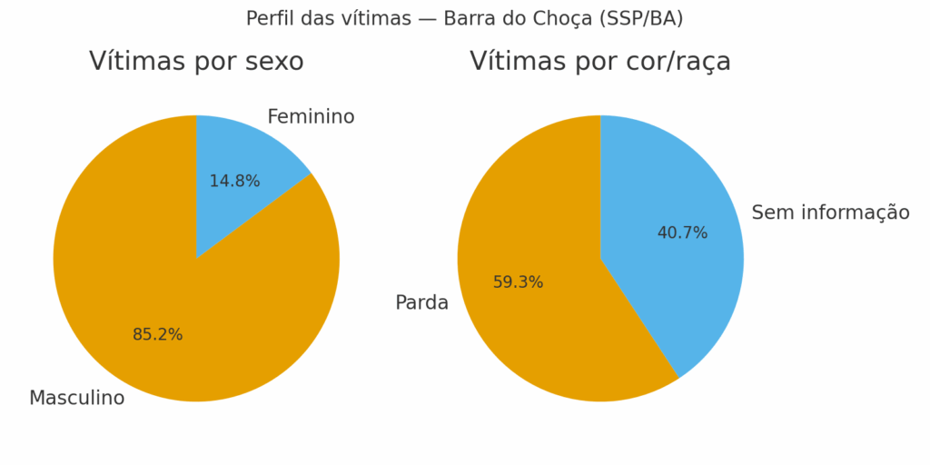 perfil_vitimas-1024x512 Violência em Barra do Choça atinge sobretudo jovens e homens