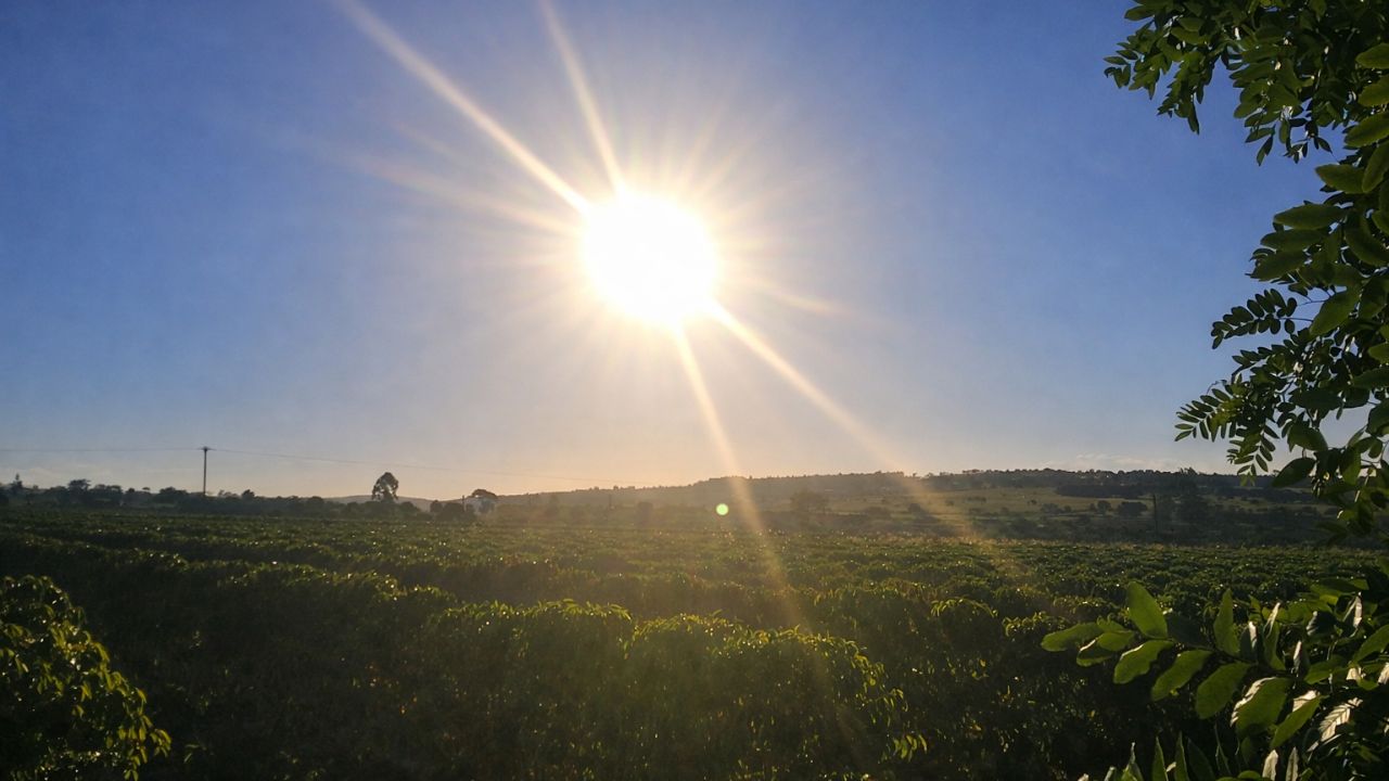 Tempo em Barra do Choça: sol deve predominar ao longo da semana